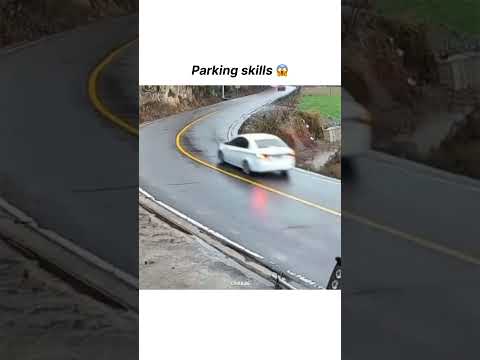 Epic Car Moments | Parking Skills| #shorts #shortsfeed