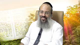 לקום כל בוקר כמו חדש | מתי לומדים שאנחנו כלומניקים | פגרים מתים ᴴᴰ