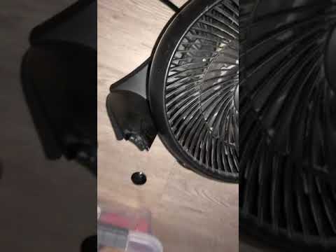 1/20/20 Someone who lives at 5640 Santa Monica Blvd broke my fan while I was out