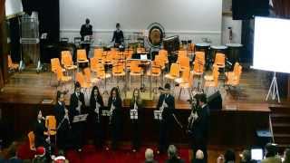 preview picture of video 'Filarmónica Ressurreição de Mira, Concerto (Parte 1)'