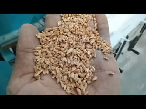 Flour Mill Plant