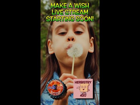Best Cannabis Charity Raffle: 5 Ways 420 Community Helps Kids