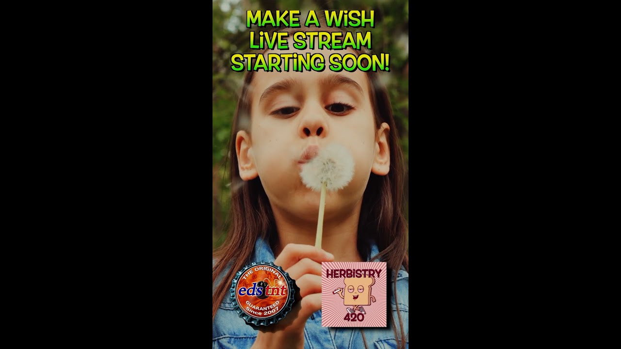 Best Cannabis Charity Raffle: 5 Ways 420 Community Helps Kids