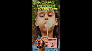 Best Cannabis Charity Raffle: 5 Ways 420 Community Helps Kids