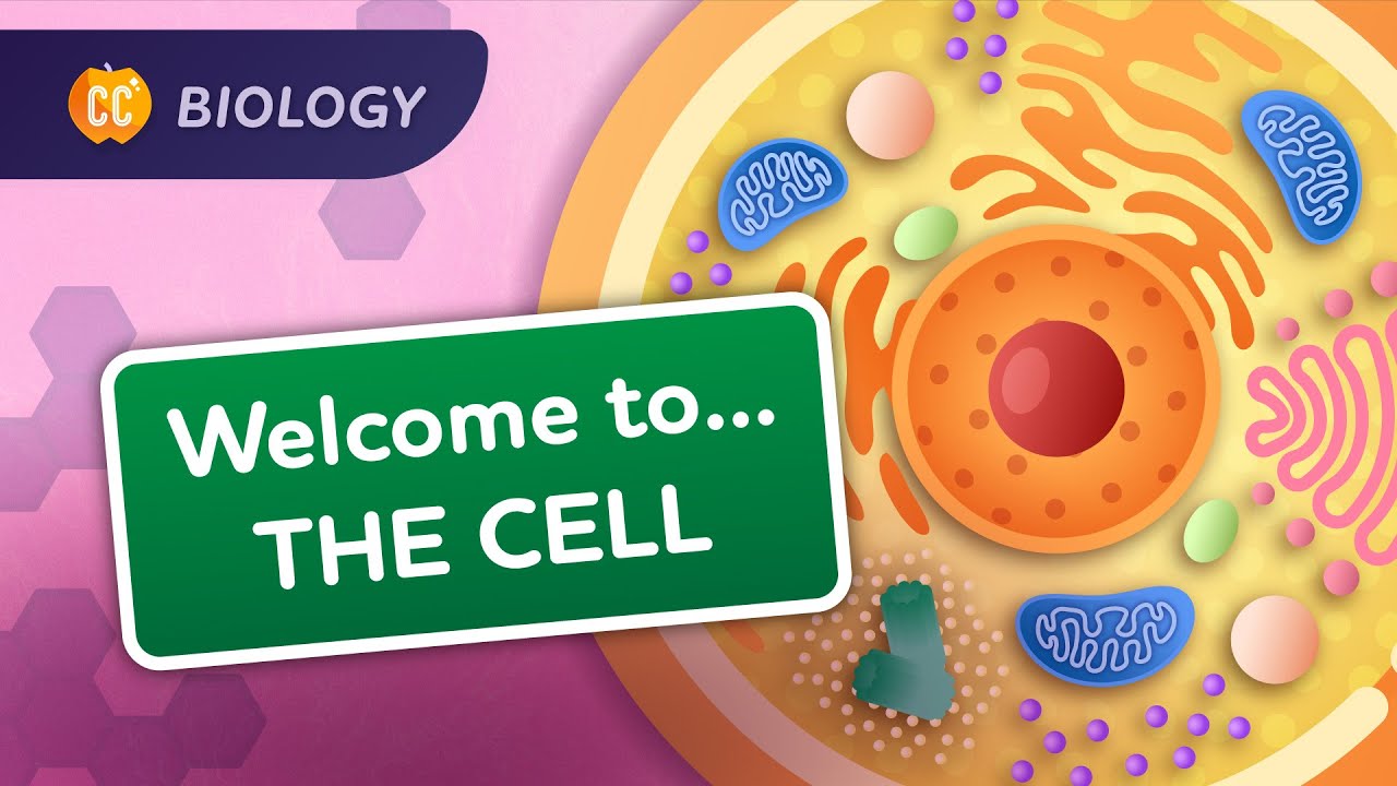 Ch4. Tour of the Cell