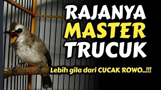 Download lagu TRUCUK GACOR DOORR|| Cucak Rowo Lewat‼️ mp3 Download lagu TRUCUK GACOR DOORR|| Cucak Rowo Lewat‼️ mp3