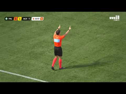 Gols e melhores lances de Palmeiras x Botafogo