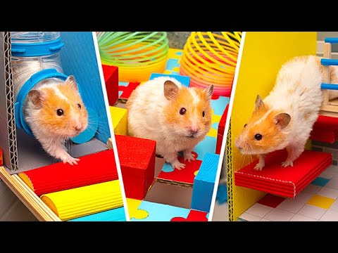 ULTIMATE HAMSTER FUN || Huge DIY Hamster Maze and Space Craft tor Your Pet