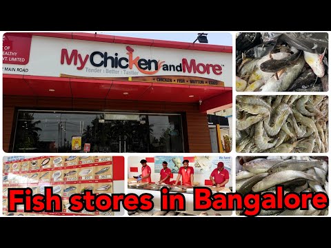 Bengali Fish shop in Bangalore||My Chicken & More Store in Hennur area|| Chumki's Sansar #fishmarket