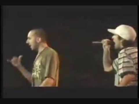 Noult VS Cebos - www.preparadogallos.es.tl