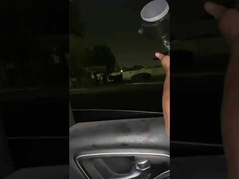 Everything dead 😂🏴‍☠️