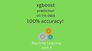 Xgboost model prediction on iris data: 100% accuracy