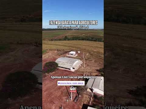 Fazenda produtiva à venda | 1.452 hectares | Doverlândia - GO #fazendaavenda #agro