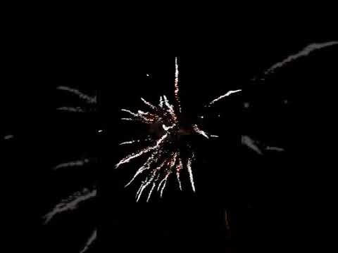 Rogla 49 shots...💥😎😁