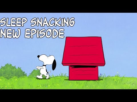 Snoopy and Woodstock | Sleep Snacking | BRAND NEW Peanuts Animation | Compilation