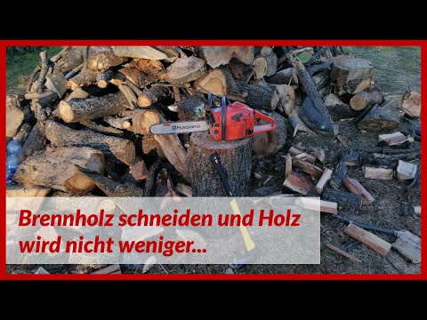 Brennholz schneiden und Holz wird nicht weniger