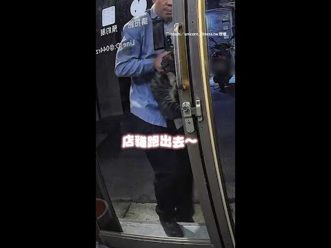 【費盡心思XD】店貓逃家被好心男抱回還用3招封門｜#寵物雲 #shorts