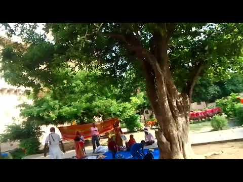 PAN INDIA #APNA230 #UP4400+ #UK11 #JEWELS OF VRINDABAN6 #JAIPUR MANDIR3 #rs 2000/hall #CHARITY