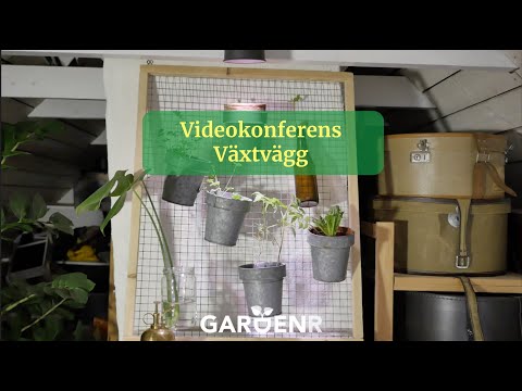 Videokonferens-växtvägg - Trädgårdshacks med GardenR