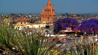 preview picture of video 'San Miguel de Allende Flowering Jacarandas'