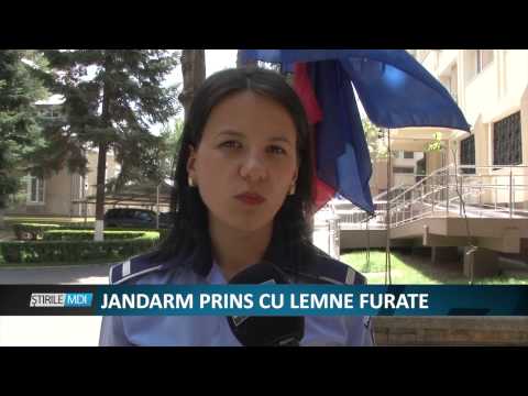 Jandarm prins cu lemne furate  - MDI TV