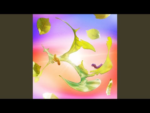 Video thumbnail for ​sol en Virgo