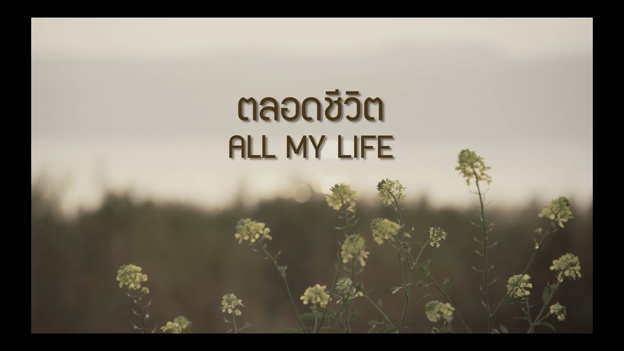 ตลอดชีวิต thumbnail