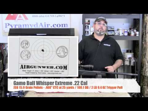 Gamo Bull Whisper Extreme .22 - Product Review