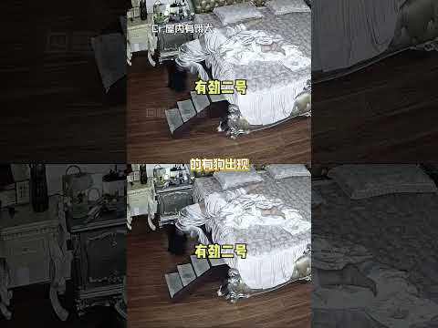 敢情薩摩耶一開始按著你，是真怕你被彈飛啊#小狗#內容過于真實#寵物#狗#狗是人類最忠誠的朋友