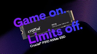 마이크론 Crucial P310 M.2 NVMe 대원씨티에스 (2TB)_동영상_이미지
