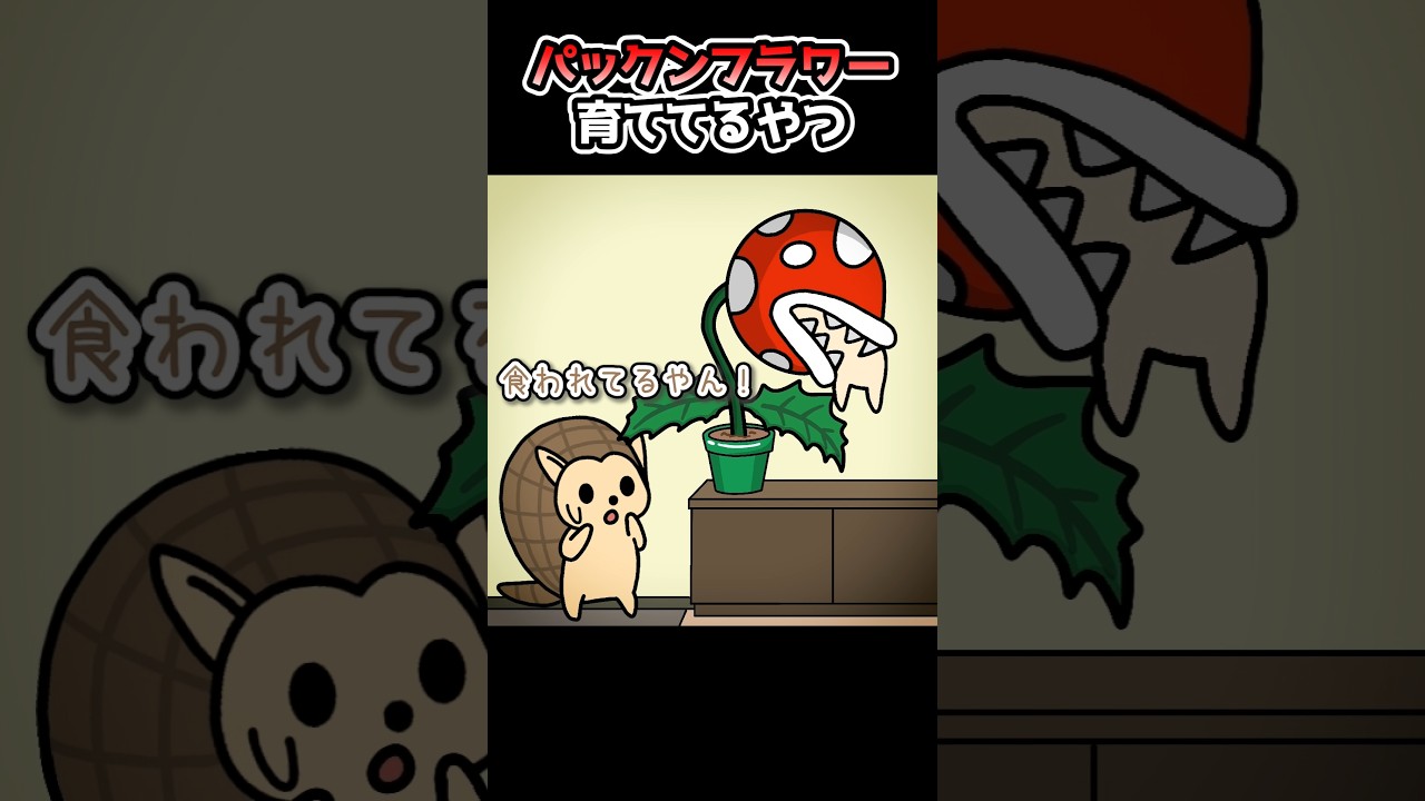 パックンフラワー育ててるやつ【アニメ】