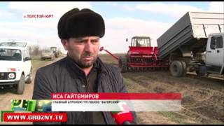 Сельхозпредприятия республики начали посев яровых