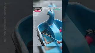 Download lagu Ratusan ikan Dewa di Kuningan mati: Diduga karena anomali cuaca ekstrem mp3