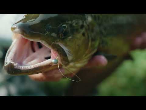 DUO Tetra Works Ultra Light Trout Fishing/MaguroProShop