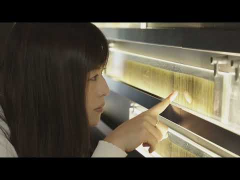 The miracle lake － Lake Suigetsu