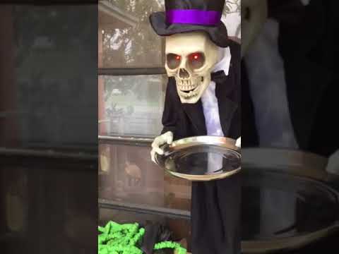 Rocky le tiene miedo a un muñeco