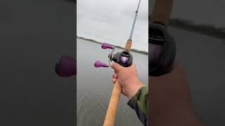 Download lagu BEST saltwater TOPWATER fishing combo #fishing #saltwaterfishing mp3 Download lagu BEST saltwater TOPWATER fishing combo #fishing #saltwaterfishing mp3