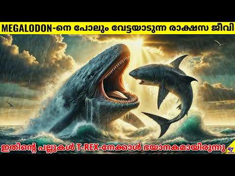 Livyatan: The Whale That Can Kill Megalodon with Jaws That Rival a T-Rex | 47 ARENA