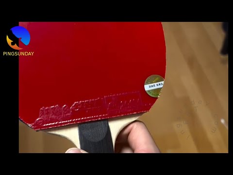 Should I Use DHS Hurricane 3 on My Backhand? A Lesson from Ma Long