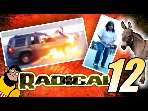 As Pessoas Mais Inteligentemente Burras da Terra RADICAL 12