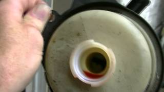 Caravan Power Steering Whine Fix