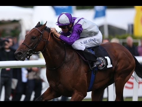 Hamburg: Hamburger Flieger Preis (Gruppe 3) - Sieger: Amarillo