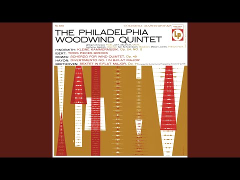 Divertimento No. 1 in B-Flat Major, Hob.II:46: II. Chorale St. Antoni. Andante (2023 Remastered...