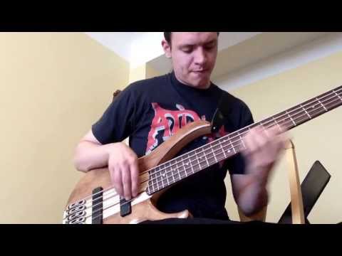 Dave Grusin - "Friends and Strangers", Marcus Miller Bass solo (cover)