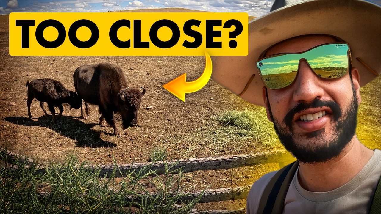 Face to Face with a Giant: Too Close?