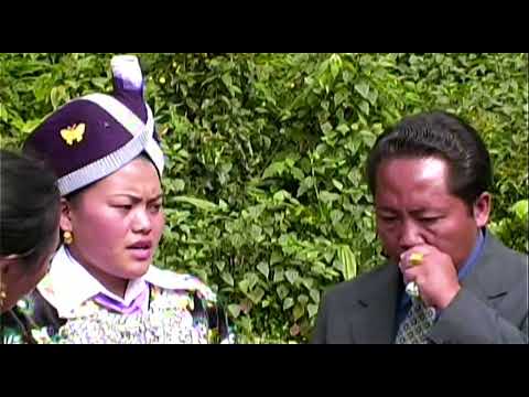 Kwv Txhiaj Xov Ntxias Hawj Thiab Maiv Nplias Yaj # 2