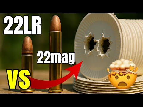 22LR vs 22Mag - The Results Will Surprise You!!!