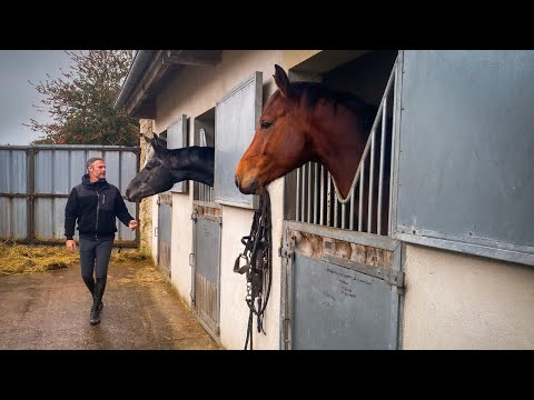 Grégory Cottard, l'espoir de l'équitation française