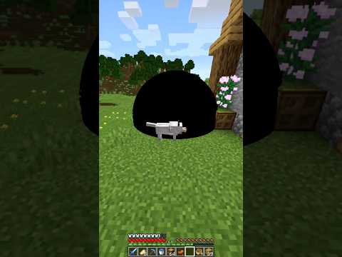 Black hole in Minecraft