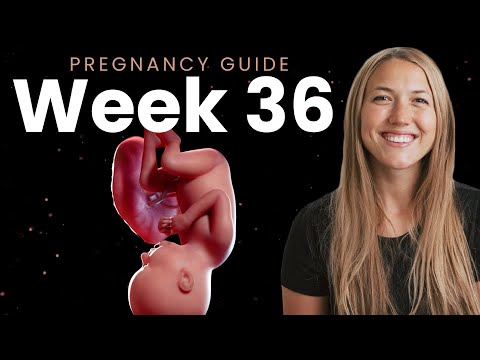 36 Weeks Pregnant | Week By Week Pregnancy